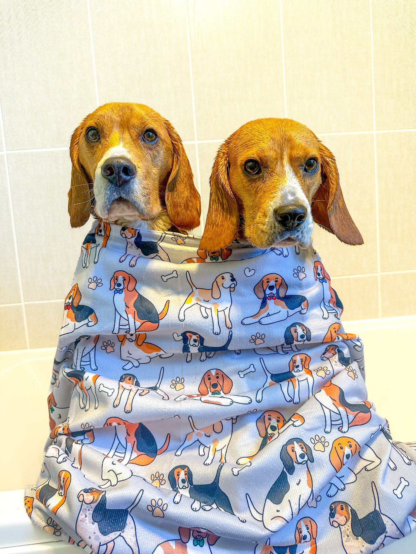 The Beagle Dog Towel - Grey