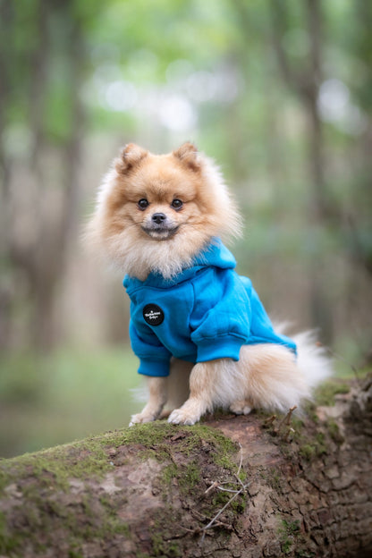 Dog Hoodie - Cobalt Blue