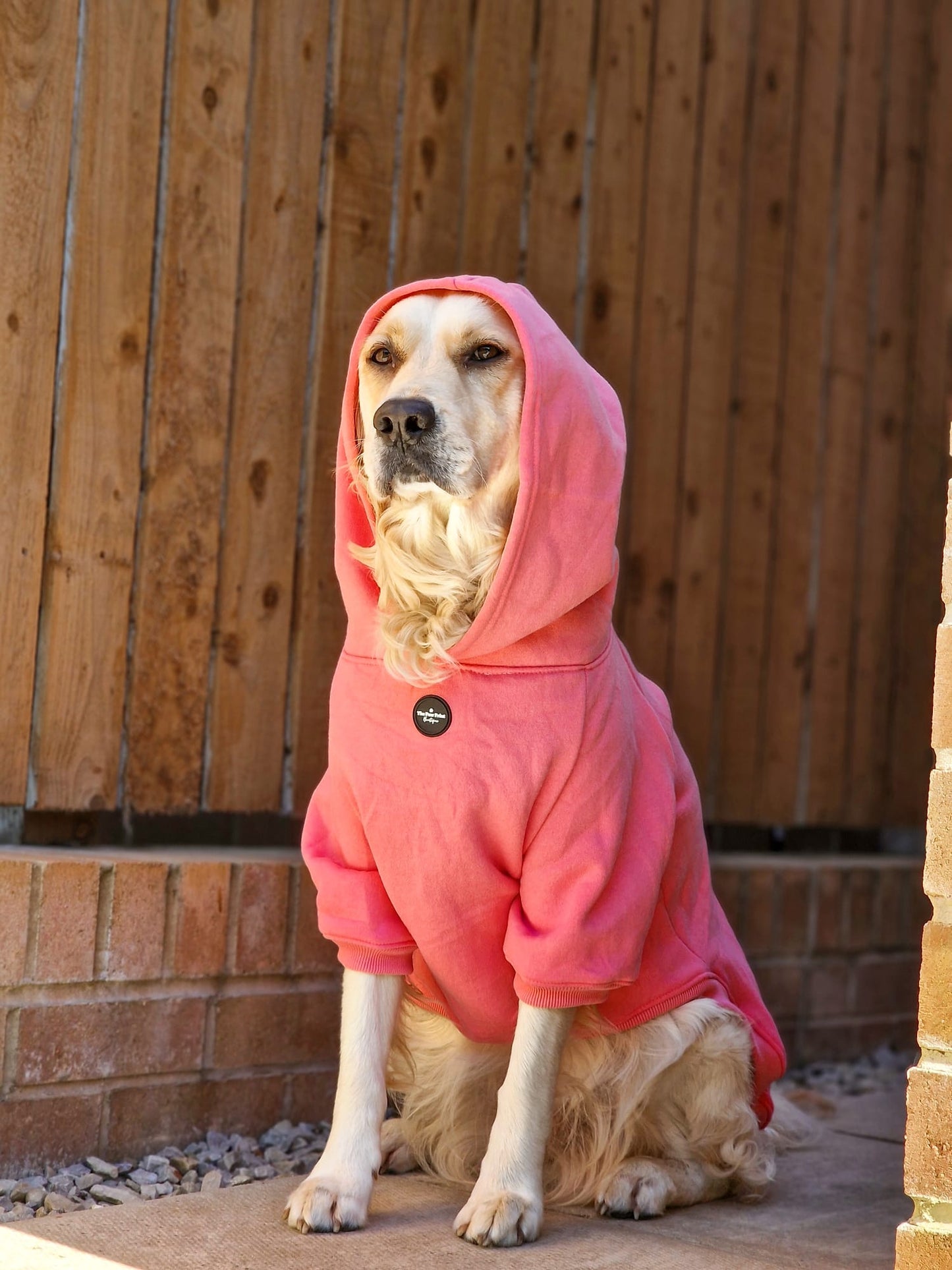 Dog Hoodie - Hot Pink