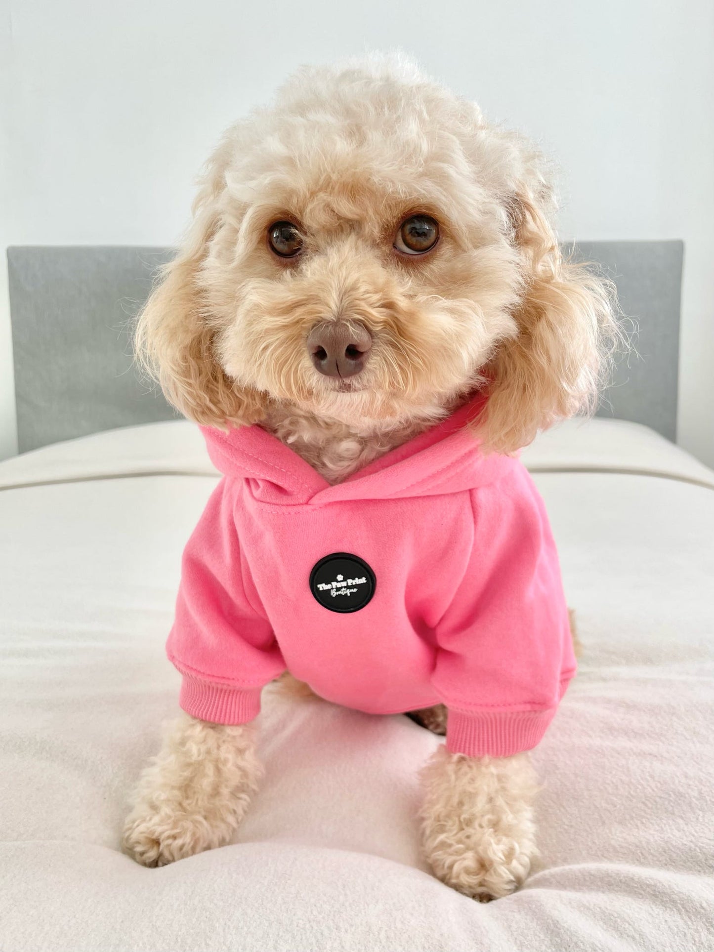 Dog Hoodie - Hot Pink