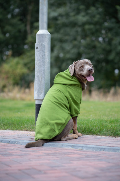 Dog Hoodie - Olive