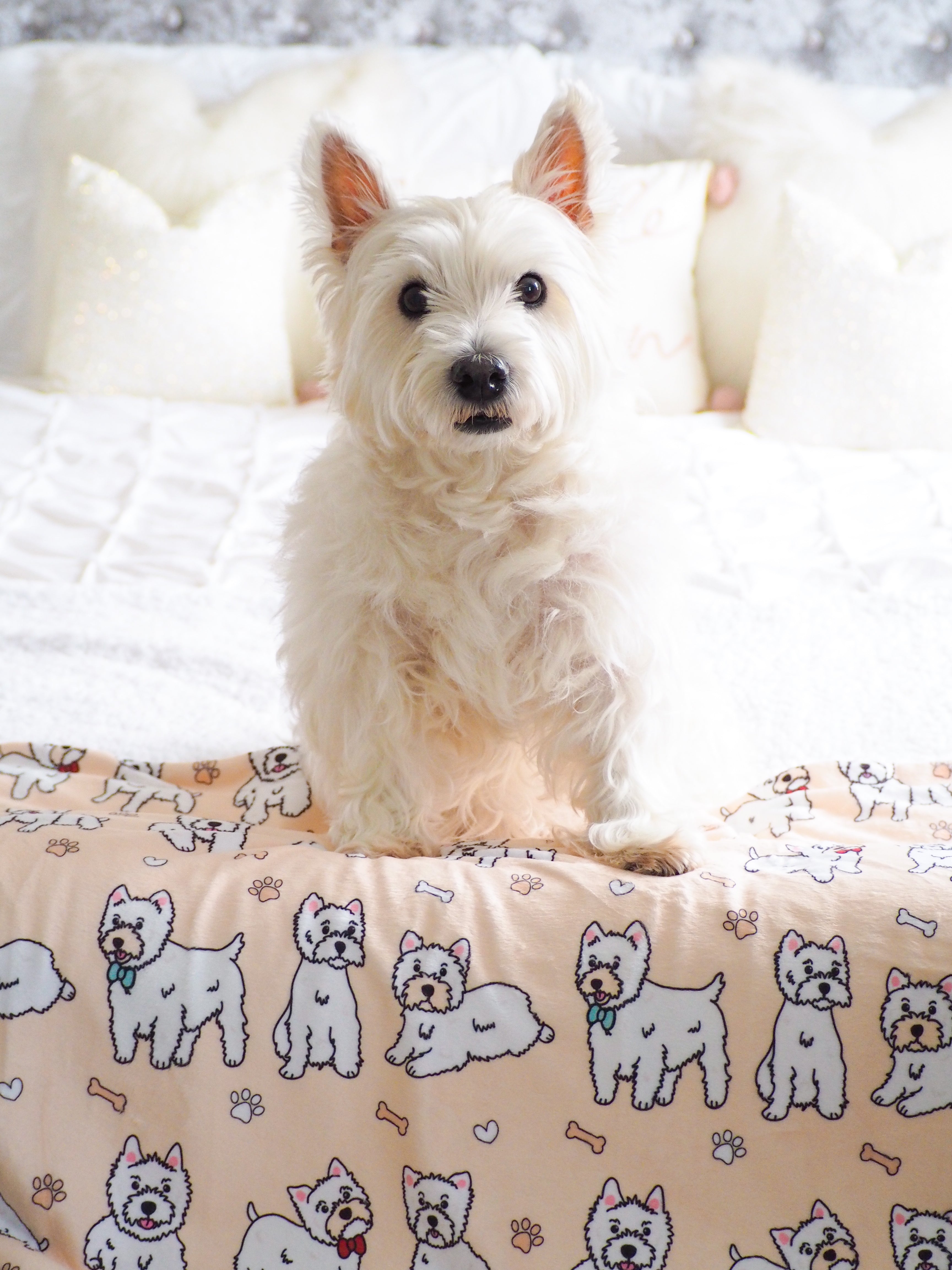 Westie dog blanket sale