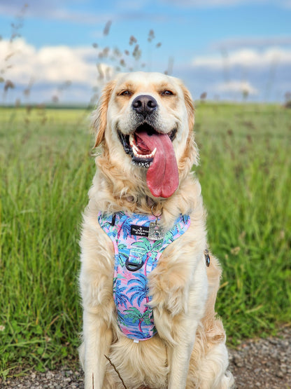 The Palm Tree Paradise Adventure Paws Harness