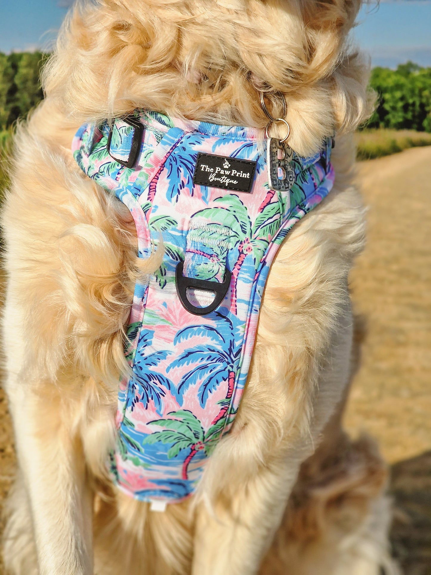 The Palm Tree Paradise Adventure Paws Harness