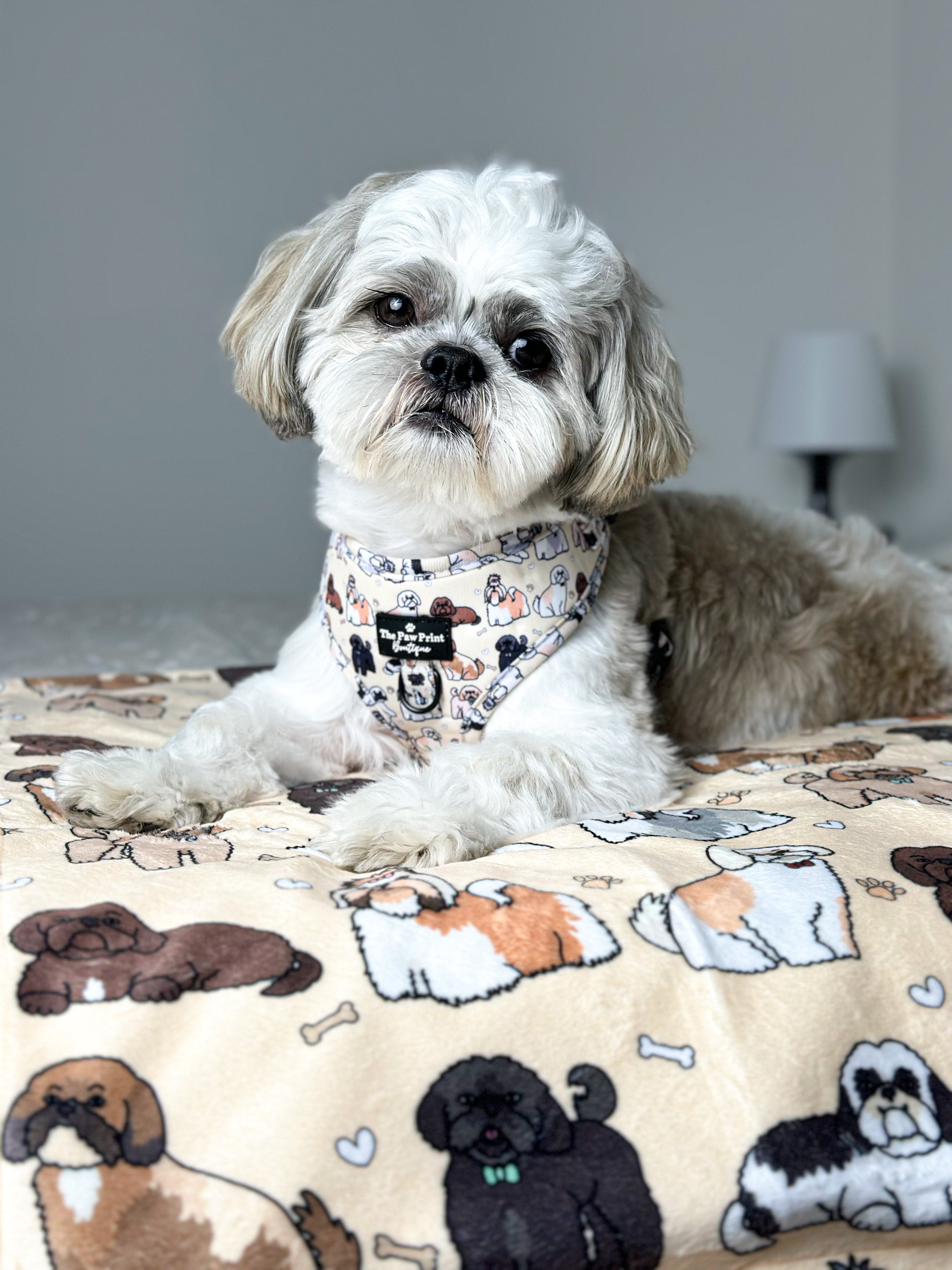 Harness size for shih tzu best sale