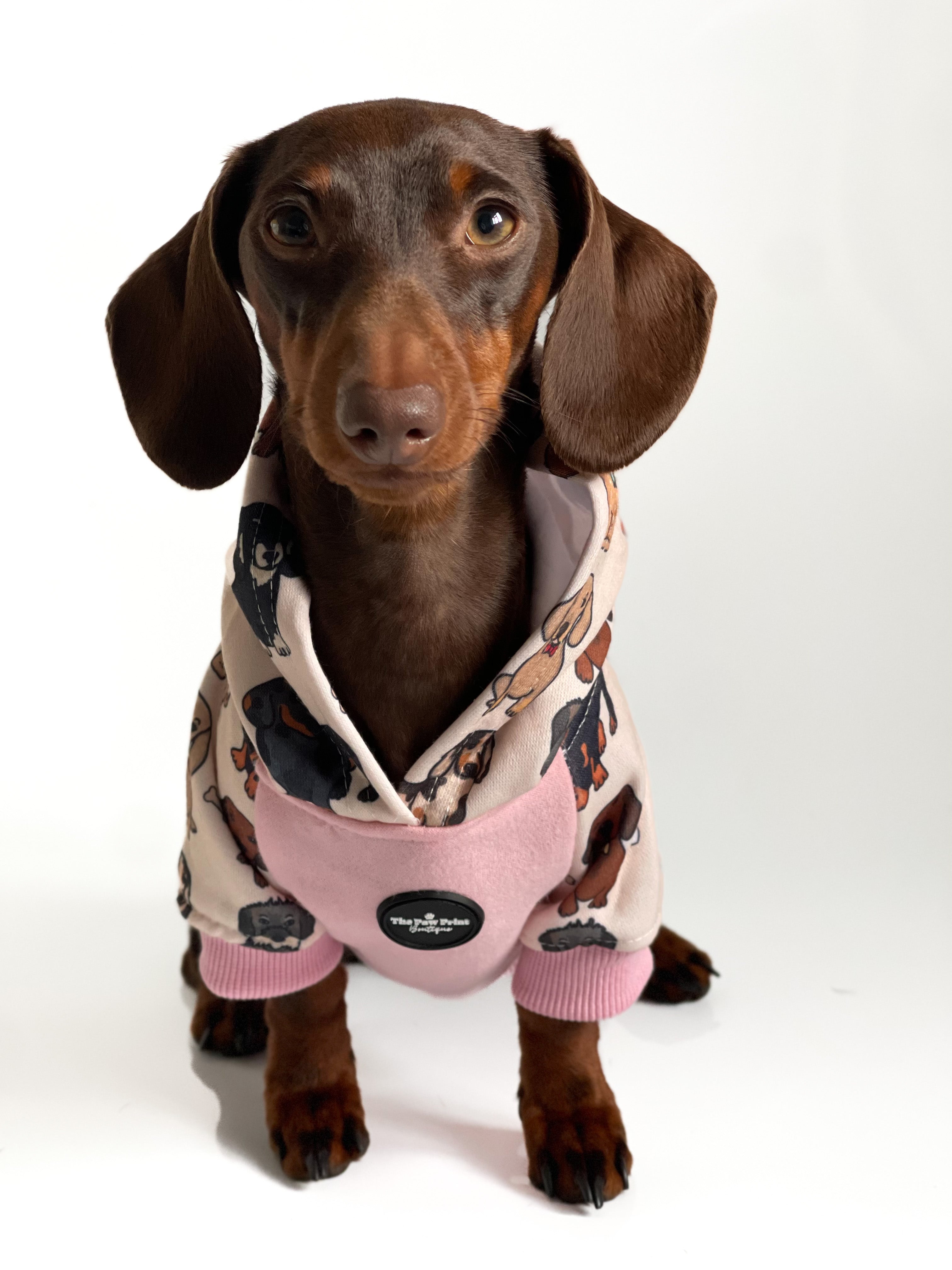 Dachshund best sale puppy clothes