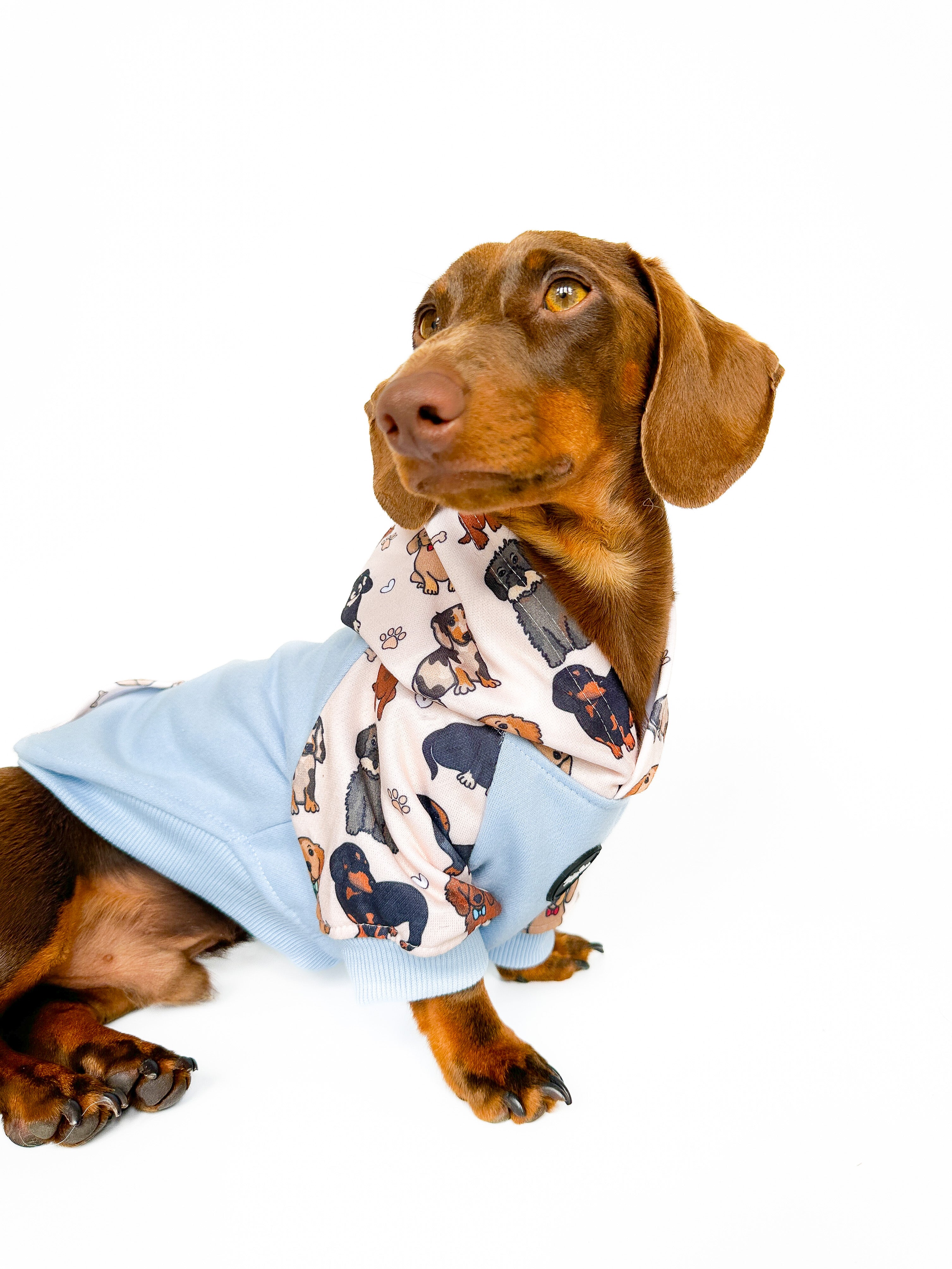 The Dachshund Dog Hoodie Baby Blue The Paw Print Boutique