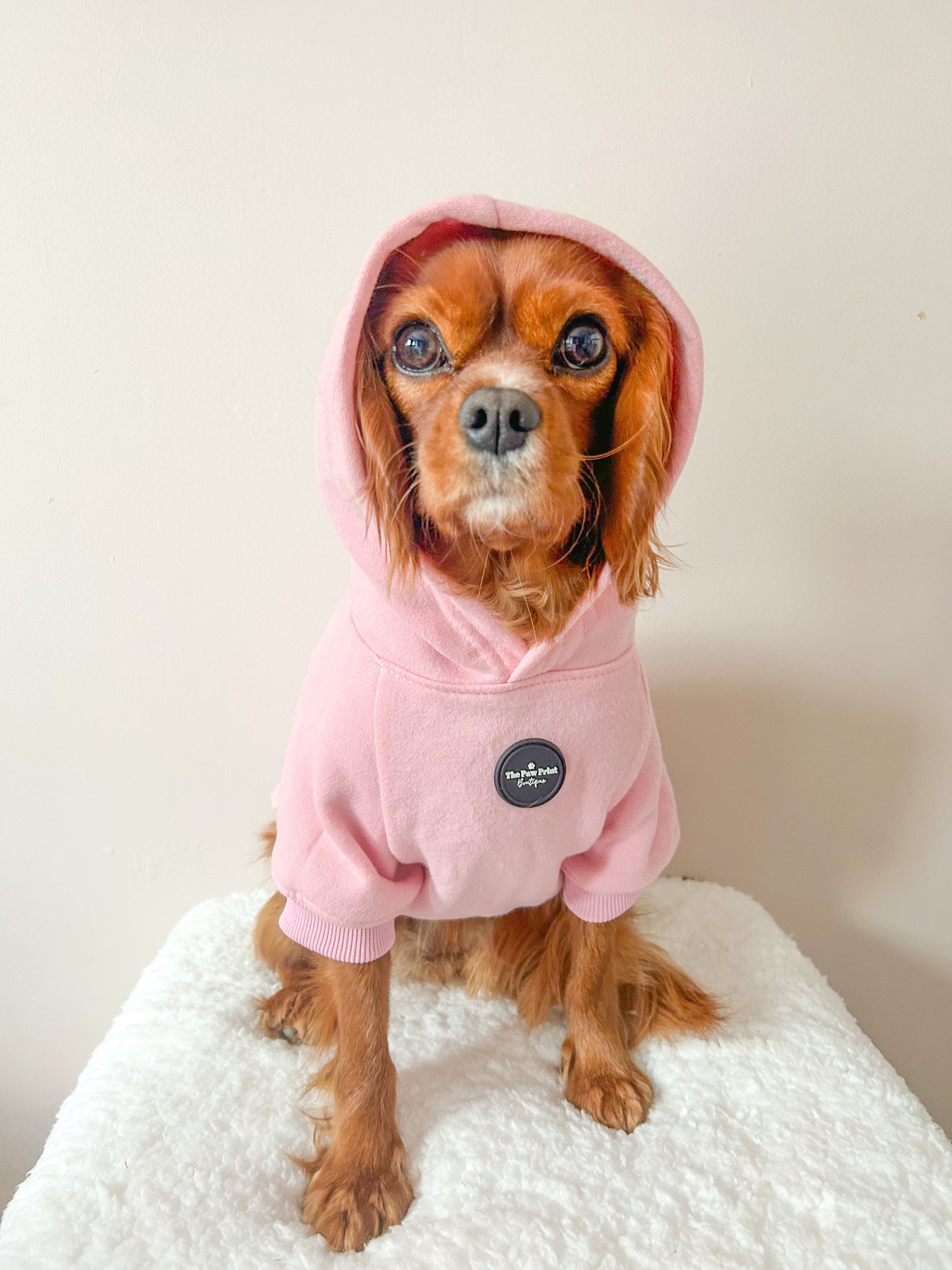 Dog Hoodie - Baby Pink