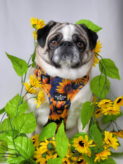 The Sunflower Field Adventure Paws Harness