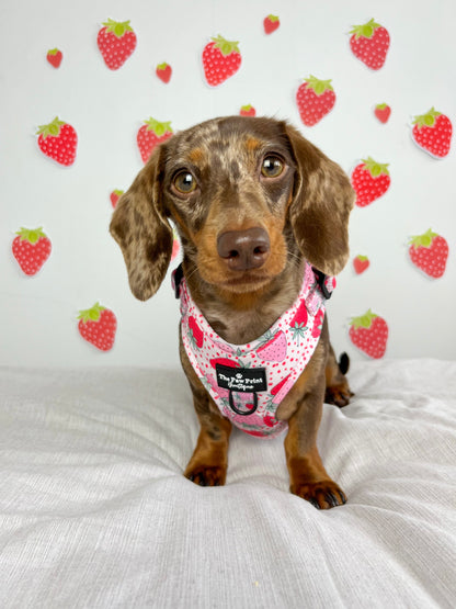 The Sweet Strawberries Adjustable Harness