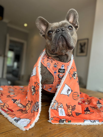 The Happy Howloween Harness