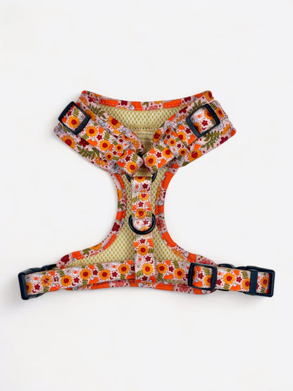 The Pumpkin Pie Adjustable Harness