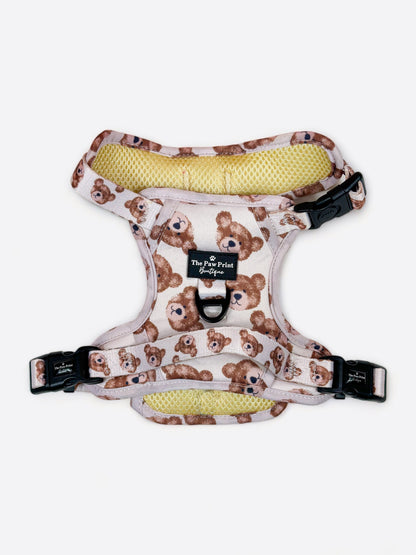 The Little Bear Cub Adventure Paws Harness