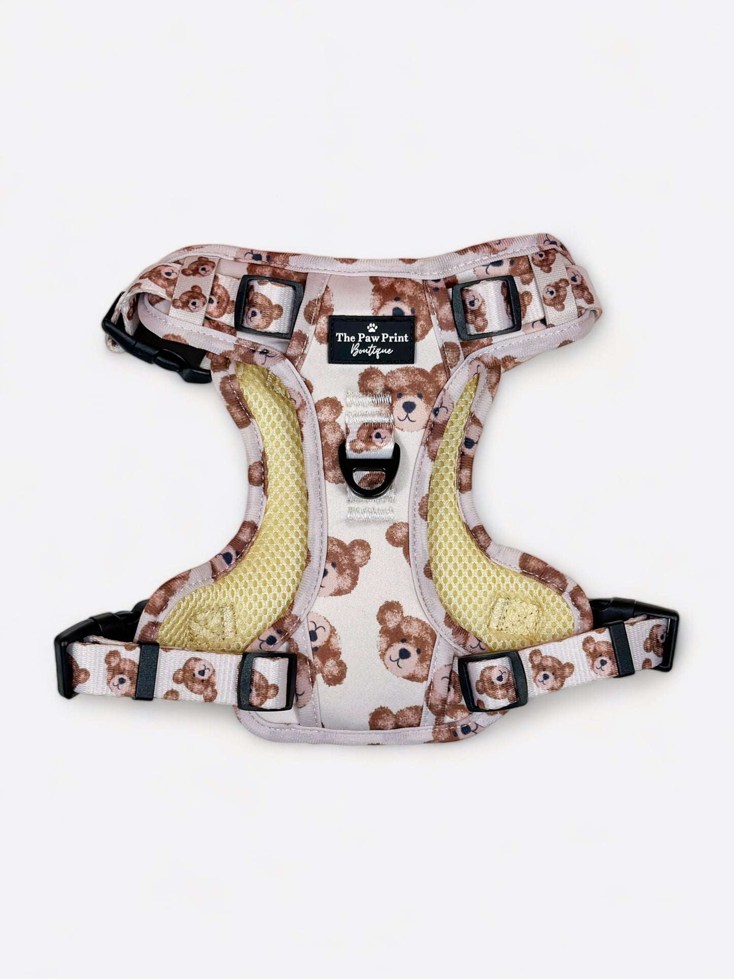 The Little Bear Cub Adventure Paws Harness