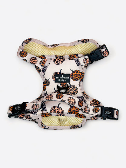 The Leopawrd Pupkins Adventure Paws Harness