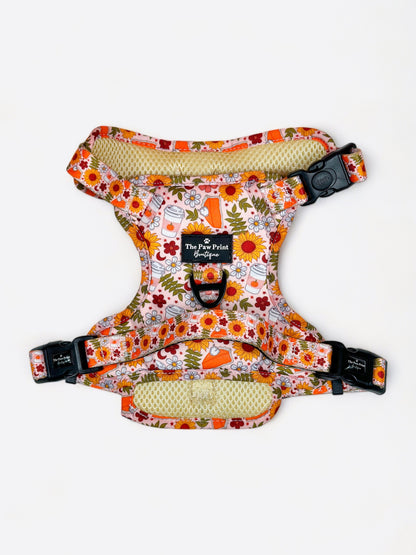 The Pumpkin Pie Adventure Paws Harness