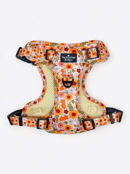 The Pumpkin Pie Adventure Paws Harness