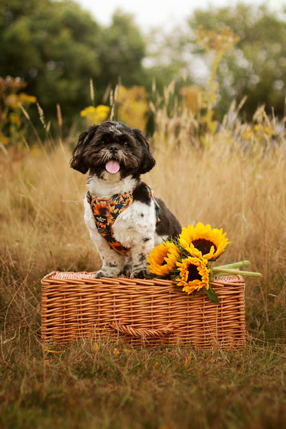 The Sunflower Field Adventure Paws Harness