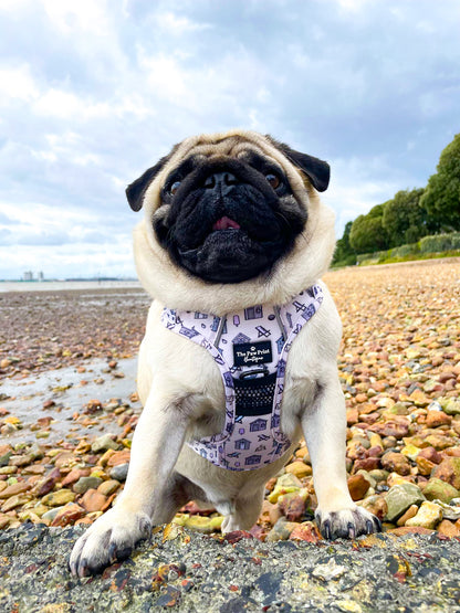 The Life's a Beach Adventure Paws Harness