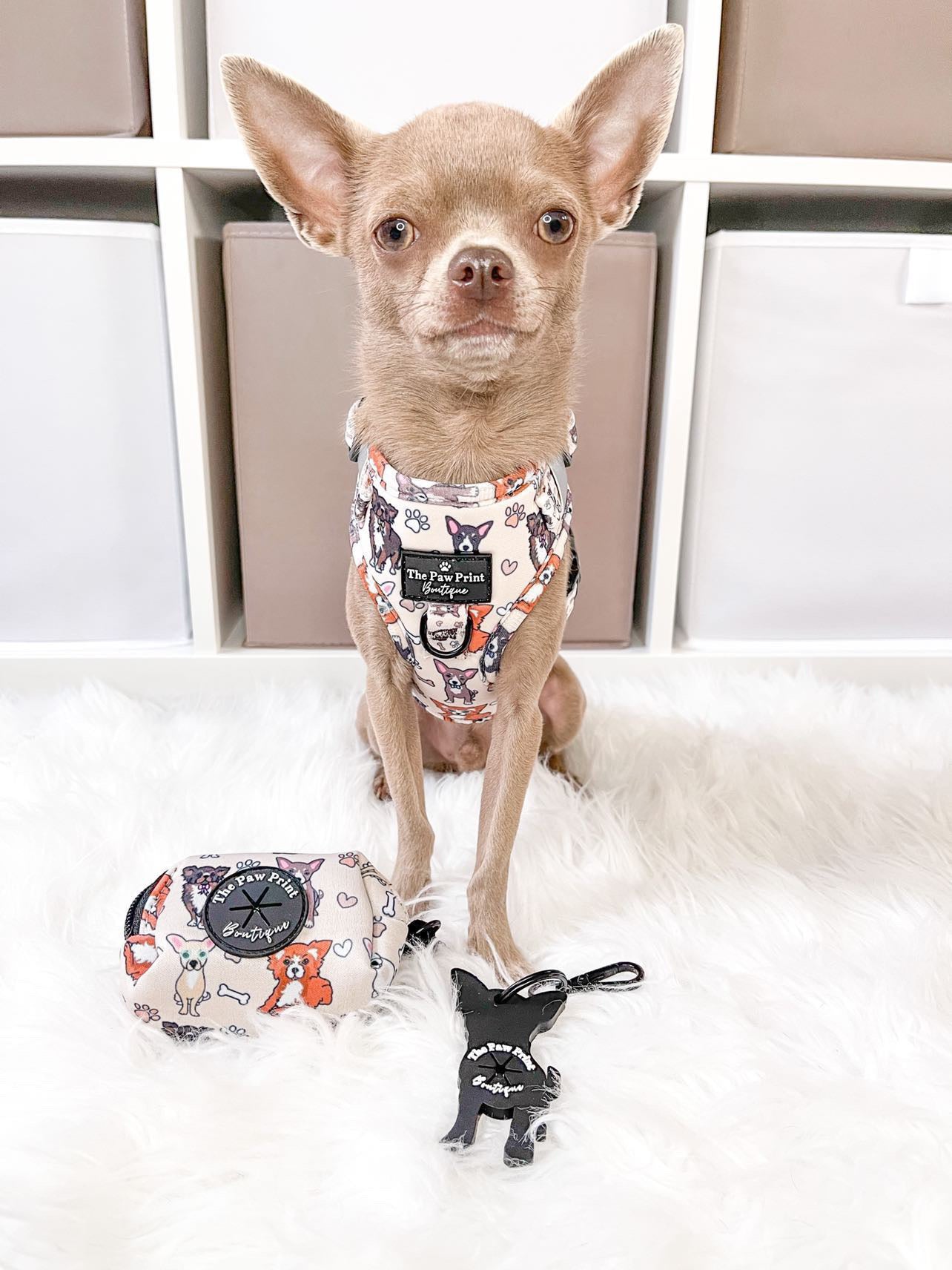 Xxs dog harness for hot sale chihuahua