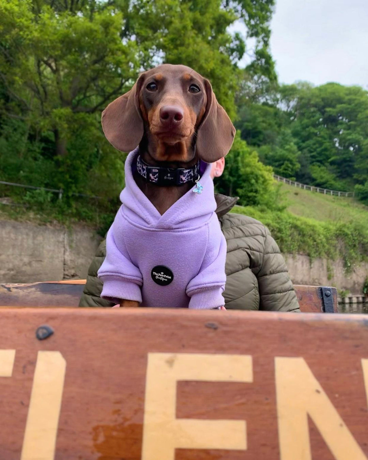 Weiner sales dog hoodie