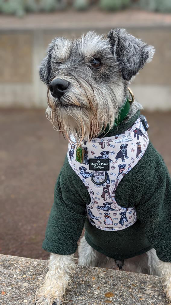 Miniature sales schnauzer clothes